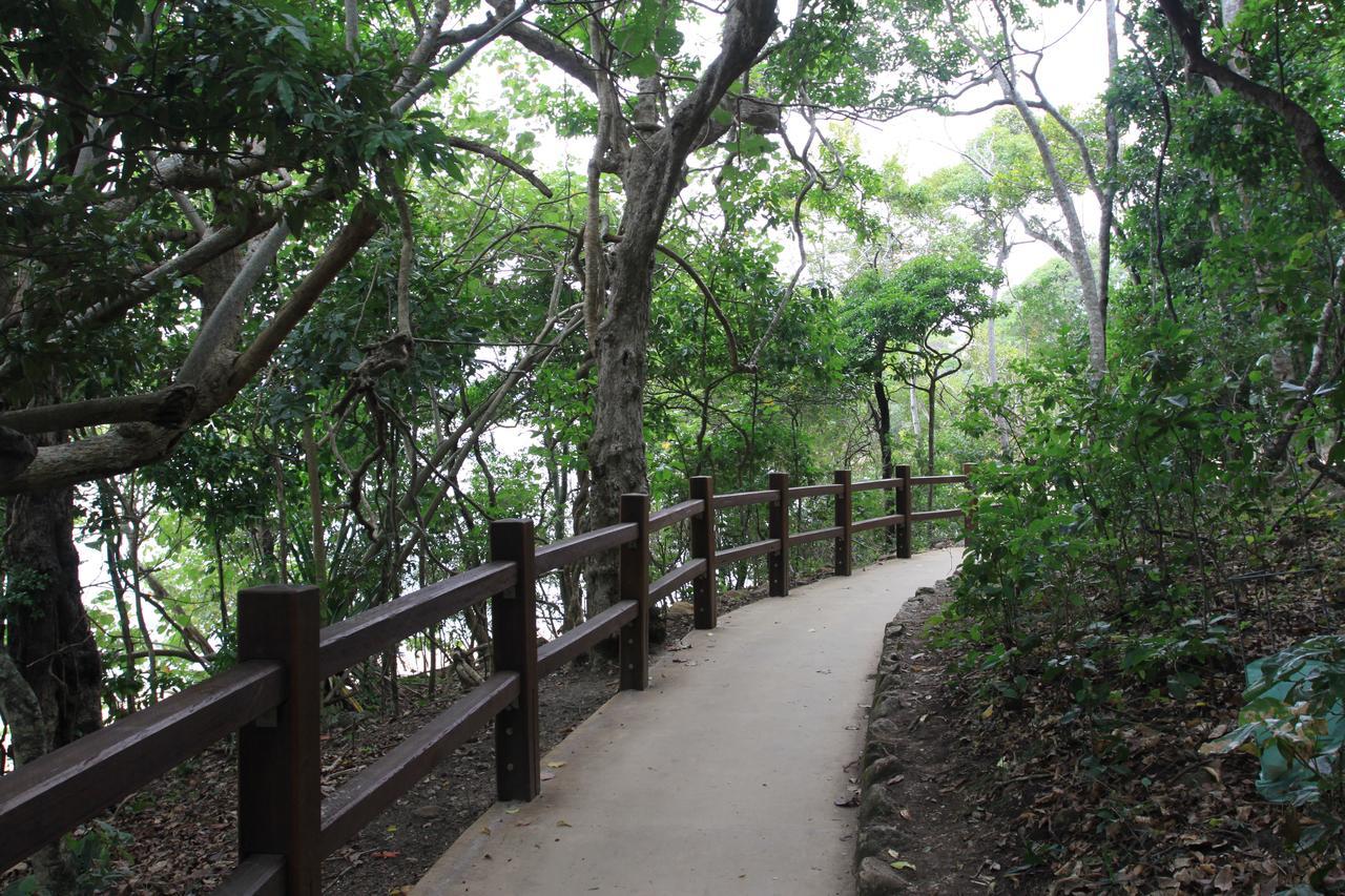 Koala Cove Holiday Apartments Gold Coast Eksteriør bilde